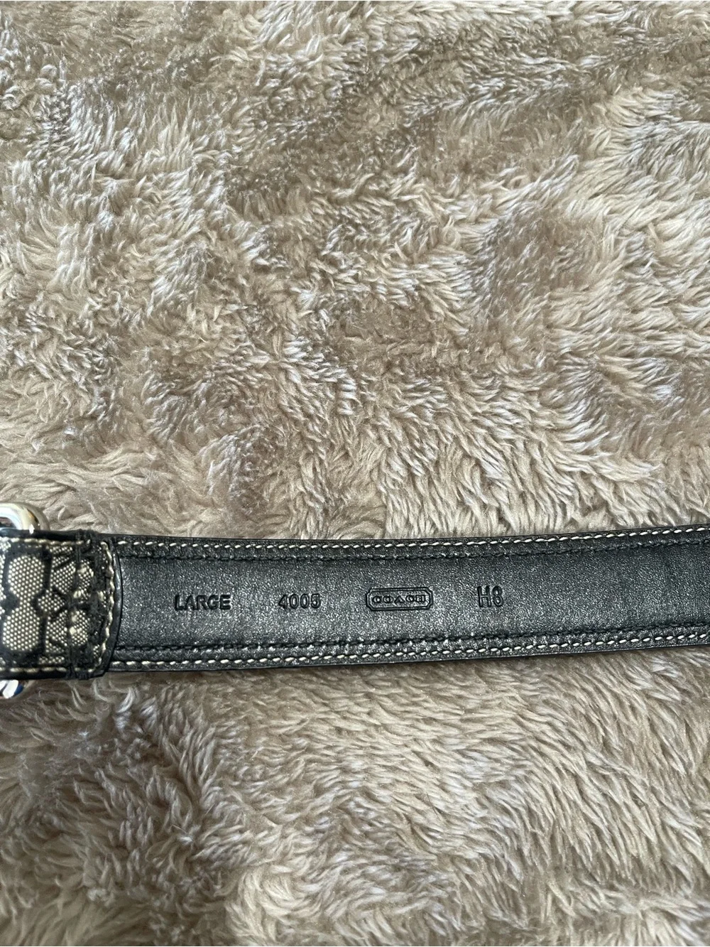 Coach stylish signature